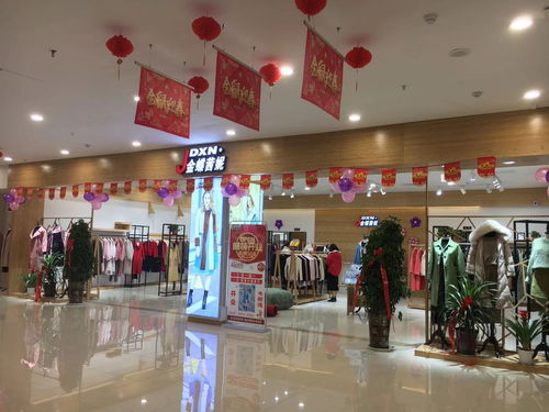 金蝶茜妮女裝新店開店,為你打開一條致富路 服裝招商資訊 中服網(wǎng)